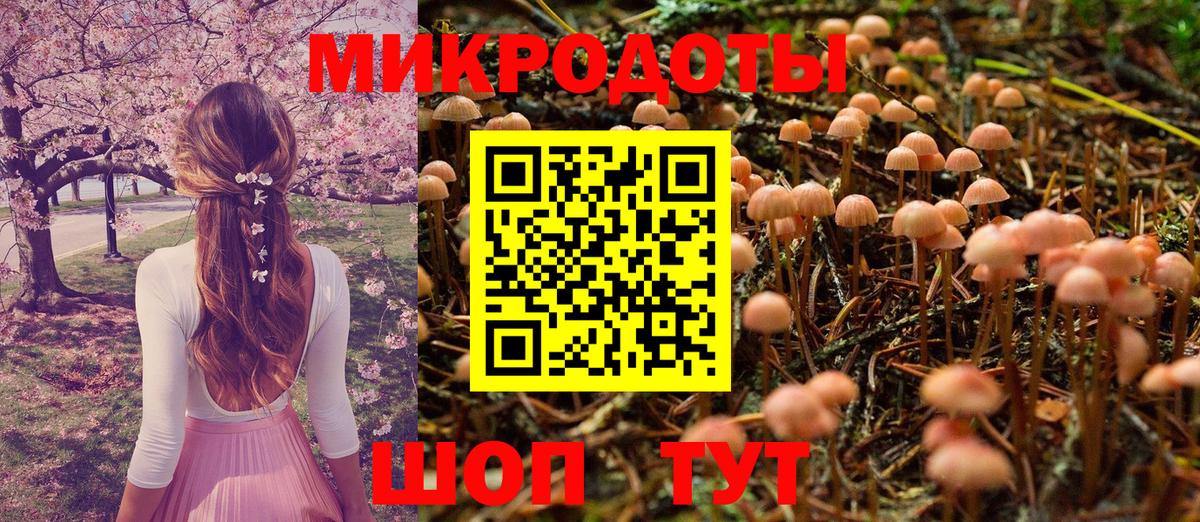 Галлюциногенные грибы ЛСД Новокубанск