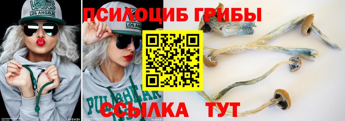 Псилоцибиновые грибы Psilocybine cubensis  Вход с VPN  Новокубанск  Галлюциногенные грибы MAGIC MUSHROOMS 